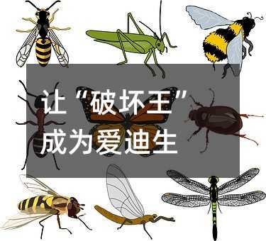 让“破坏王”成为爱迪生